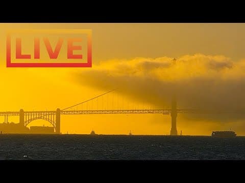 Live Streaming HD Webcam of San Francisco Skyline, USA
