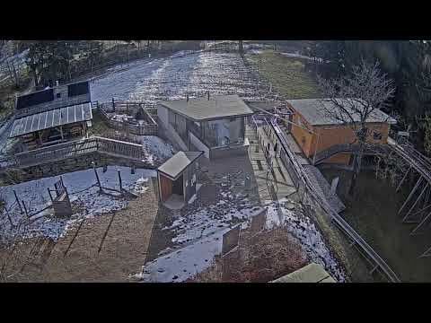Corona Live Webcam, Lower Austria