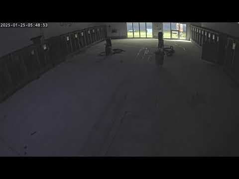 Live Webcam North Inside Facility at DogMode, Salt Lake City, Utah, USA