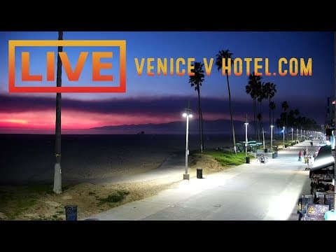 Live Ocean Front Walk Venice Beach, Los Angeles, USA