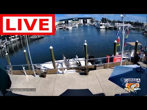 Live Fuel Docks webcams Gasparilla Marina, Florida, USA