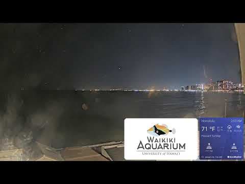 Live Surf Webcam Waikiki Aquarium, Honolulu, HI, USA