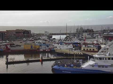 Werkhaven Harbour Live Webcam, Urk, Netherlands