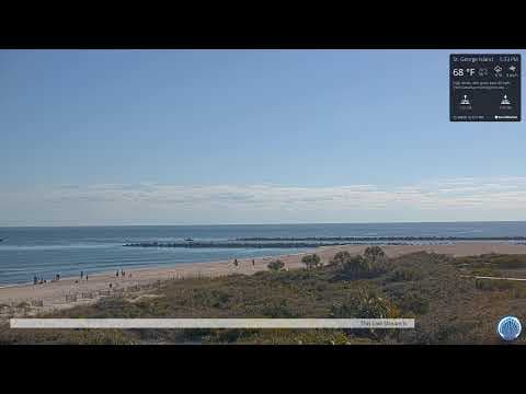 Beach Webcam View from Turtley Rad Cut in St. George Island, FL, USA