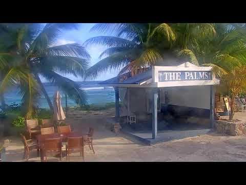 Pelican Cove Beach hotel Live Streaming HD Webcam, Virgin Islands