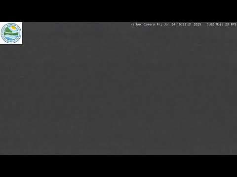 Webcam Mispillion Harbor, DuPont Nature Center, USA
