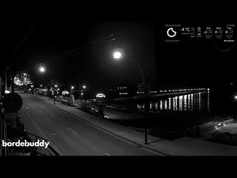 BorderBuddy &amp; Charlie Don't Surf Webcam White Rock, BC, Canada