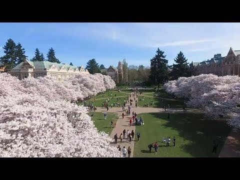 Live Webcam UW Cherry Blossom, Seattle, WA, USA