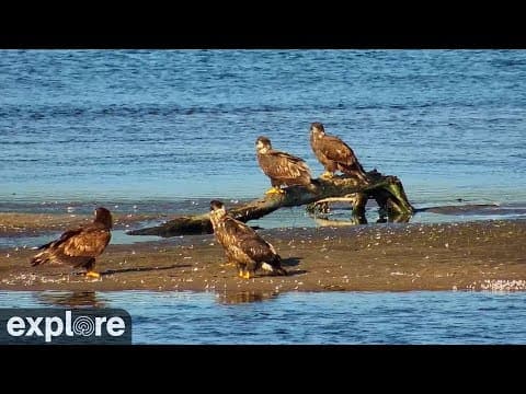 Lake Onalaska, Mississippi River live HD Webcam, USA