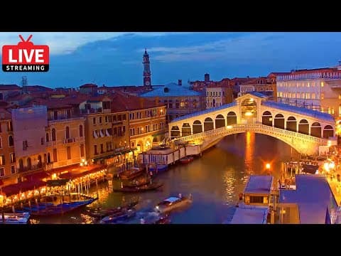 Rialto Bridge Live Streaming Webcam - Ponte Rialto, Venice