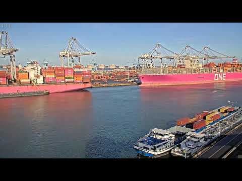 Live Webcam Amazonehaven West, Port Rotterdam, Netherlands