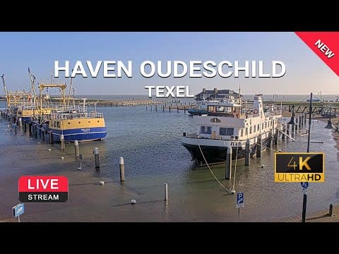 HD streaming Webcam of Haven Oudeschild Harbour Texel, Netherlands