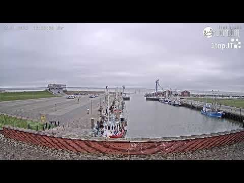 Live Webcam Hafen Dornumersiel Harbour, Germany