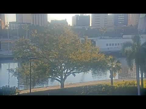 Hillsborough River, Tampa Live HD Webcam, USA