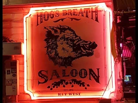 Hog's Breath Saloon, Bar Live stream Webcam, Key West, USA