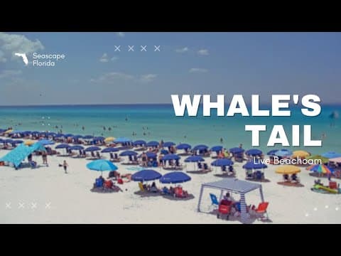 Live HD Webcam Seascape Whale's Tail, Florida, USA