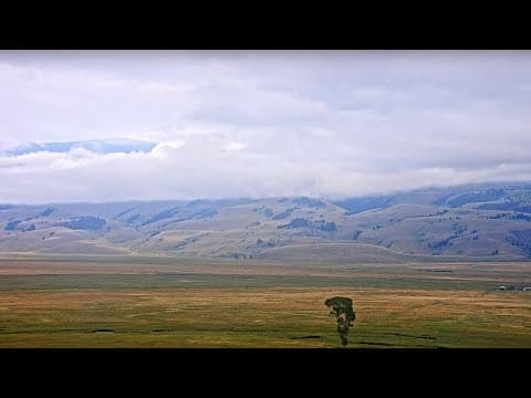 Elk Refuge Live Cam