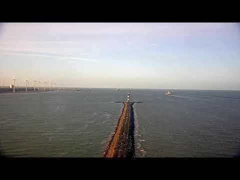 Live Amazonehaven East Webcam, Port of Rotterdam, NL