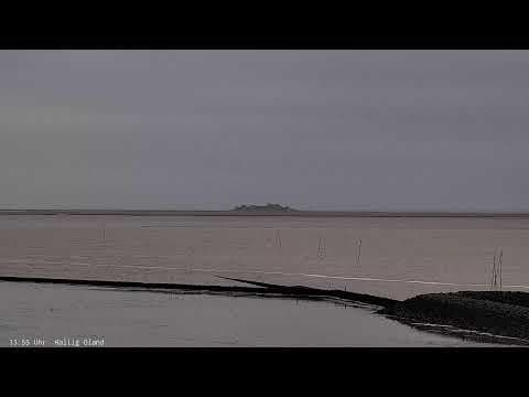 Live Webcam Port of Schluttsiel in Ockholm, Germany