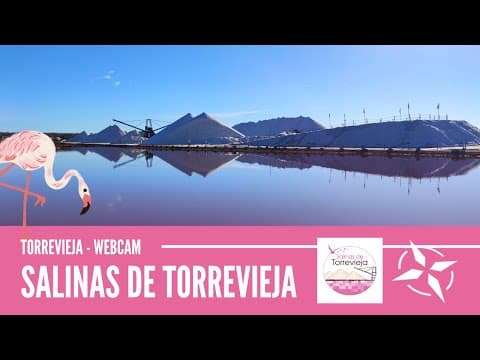 Live Webcam Salinas de Torrevieja Pink Saltwater Lakes, Alicante, Spain