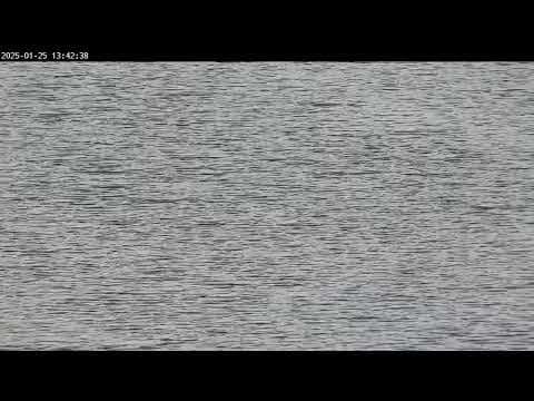 De Gavers Live Webcam, Harelbeke, Belgium