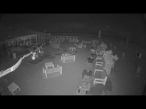 Live Webcam Beach Bar Haven van Zandvoort, Netherlands