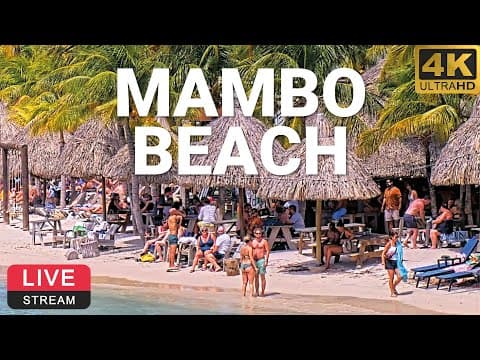Live Mambo Beach Webcam in Willemstad, Curacao