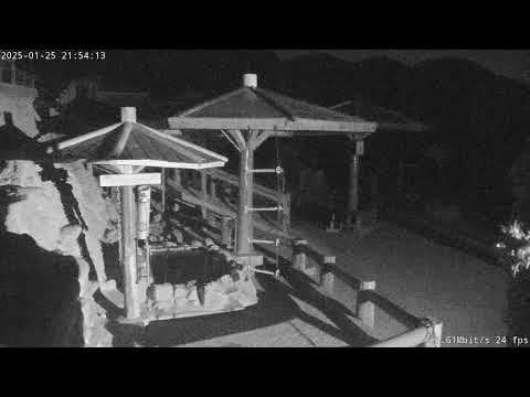 Live Webcam Awaji Monkey Center, Japan