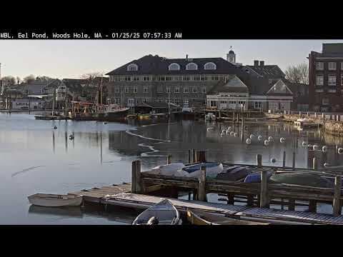 Live MBL Eel Pond HD Webcam, Falmouth, USA
