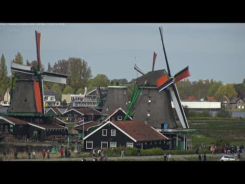 Zaanse Schans Live Stream Webcam, Netherlands
