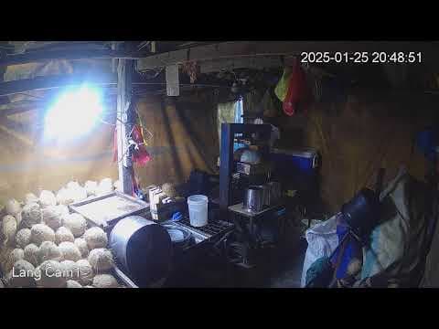 Live Lang-Lang Webcams Agdao Public Market, Philippines