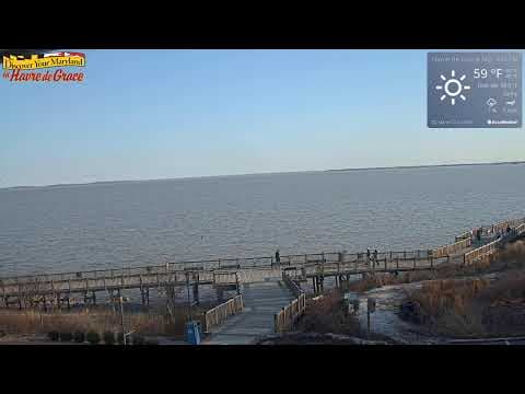 Havre de Grace live view