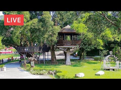 Live HD Webcam Hutoushan Owl Forest School &amp; Park, Taiwan