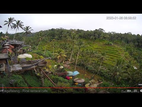 Live Rice Terrace Cafe Webcam, Tegallalang, Bali, Indonesia