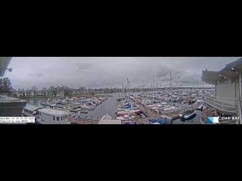 Live Oak Bay Marina Webcam stream, Victoria, BC, Canada