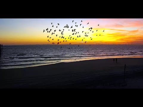 Jacksonville Beach Pier Webcam North and South, FL, USA